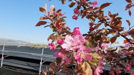 초곡실내테니스장정원 - 사진모음 - 어모문화마을 초곡실내테니스장정원