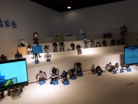 쥬쥬 동물원 체험(2022.9.21) - 행사 활동 소식 - 일산 아가페21 지역아동센터 쥬쥬 동물원 체험(2022.9.21)