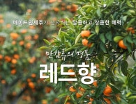 협력업체 새천년 농장을 소개합니다. - 새천년농장 - 대구광역시 입시학원 연합회 대구광역시 입시학원 연합회