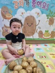 🥔🌱감자야 놀자🌱🥔 - 앨범 - 평화원광어린이집 🥔🌱감자야 놀자🌱🥔
