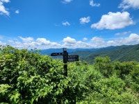 07월02일 (전북무주) 덕유산 신풍령-송계사 - 정기산행 사진방 - 창마 정다운산악회 07월02일 (전북무주) 덕유산 신풍령-송계사