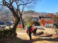 2025년11월26일 (전남순천) 연산봉, 조계산 02 - 정기산행 사진방 - 창마 정다운산악회 2025년11월26일 (전남순천) 연산봉, 조계산 02