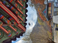 순창 강천산 - 정기산행 사진방 - 창마 정다운산악회 순창 강천산