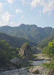 경북영덕 동대산 02 - 정기산행 사진방 - 창마 정다운산악회 경북영덕 동대산 02