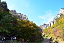 설악산 흘림골 단풍산행합니다 - 정기산행 예약공지방 - (솔향산악회) 설악산 흘림골 단풍산행합니다