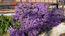 산막골성지순례(1) - 우리들의 앨범 - 유성성당 산막골성지순례(1)