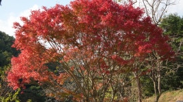 산막골성지순례(1) - 우리들의 앨범 - 유성성당 산막골성지순례(1)