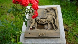 홍주성지순례(4) - 성당행사앨범 - 유성성당 홍주성지순례(4)