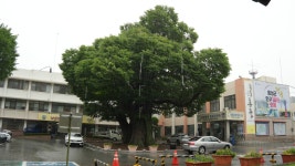 홍주성지순례(3) - 성당행사앨범 - 유성성당 홍주성지순례(3)