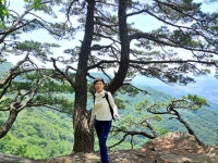147차(24년5월9일)남양주서리산 - MG정기산행사진 - 진량금고 산악회 147차(24년5월9일)남양주서리산