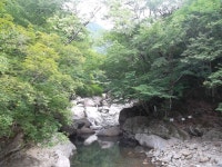 제391회 정기산행 경남 함양 지리산 칠선계곡 산행(2022. 7. 2)... 탑마루 산악회 제391회 정기산행 경남 함양 지리산 칠선계곡 산행(2022. 7. 2)