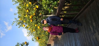 제주도 - 까페앨범(전체회원) - 익산 탑마루 산악회 제주도