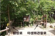 5.30~31) - 산행안내 및 예약방 - 익산 탑마루 산악회 제 494회 특별산행 강원 인제 곰배령 야생화 꽃산행 1박2일 (2026.5.30~31)