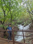 제476회속리산.세조길정기산행 - 까페앨범(전체회원) - 익산 탑마루 산악회 제476회속리산.세조길정기산행
