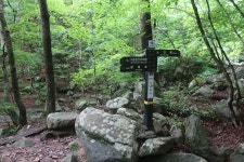 제 471회 정기 산행 강원도 오대 산 노인 봉 소금 강 계곡 산행(2025.8.2) - 산행안내 및 예약방 - 익산 탑마루 산악회 제 471회 정기 산행... 