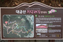제409회 정기산행 경남 거제 대금산(437.5m) 진달래꽃 산행(2023. 4. 1.) - 산행안내 및 예약방 - 익산 탑마루 산악회 제409회 정기산행... 