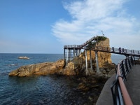 5.30~31) - 산행안내 및 예약방 - 익산 탑마루 산악회 제 494회 특별산행 강원 인제 곰배령 야생화 꽃산행 1박2일 (2026.5.30~31)