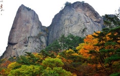 (2022.11. 5.) - 산행안내 및 예약방 - 익산 탑마루 산악회 제399회 정기산행 경북 청송 주왕산(721m) 산행!(2022.11. 5.)