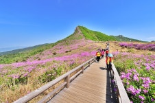 제 464회 정기산행 경남 합천 황매산 철쭉 산행 (2025.5.17) - 산행안내 및 예약방 - 익산 탑마루 산악회 제 464회 정기산행 경남 합천... 