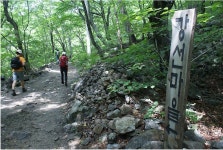 5.30~31) - 산행안내 및 예약방 - 익산 탑마루 산악회 제 494회 특별산행 강원 인제 곰배령 야생화 꽃산행 1박2일 (2026.5.30~31)