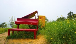 (특별2회) 제2회 번개 트레킹 전남 여수 하화도 꽃섬 트레킹 (2025. 4.... 제2회 번개 트레킹 전남 여수 하화도 꽃섬 트레킹 (2025. 4. 26)