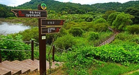 (특별3) 제3회 정기 트레킹 대전 대청호 오백리길 4코스(호반 낭만길) 2025. 5.10) - 산행안내 및 예약방 - 익산 탑마루 산악회 (특별3) 제3회... 