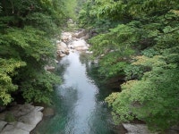 7. 2) - 산행안내 및 예약방 - 익산 탑마루 산악회 제391회 정기산행 경남 함양 지리산 칠선계곡 산행(2022. 7. 2)