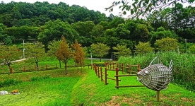 (특별3) 제3회 정기 트레킹 대전 대청호 오백리길 4코스(호반 낭만길) 2025. 5.10) - 산행안내 및 예약방 - 익산 탑마루 산악회 (특별3) 제3회... 