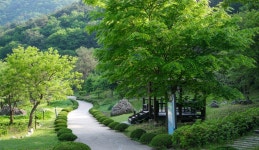 5.30~31) - 산행안내 및 예약방 - 익산 탑마루 산악회 제 494회 특별산행 강원 인제 곰배령 야생화 꽃산행 1박2일 (2026.5.30~31)