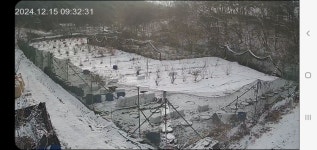 2024.12.15, 4번째 눈이 내리고 있습니다 - 농장 사진 - 한수농장 2024.12.15, 4번째 눈이 내리고 있습니다