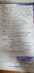 26년도 국산 신품종5종 식재계획입니다 - 불루베리 식재 - 한수농장 26년도 국산 신품종5종 식재계획입니다