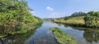 대구 금호강 둑길(1)(강정보~와룡대교~노곡교.하중도) - 둘레길 - 산, 그리다(부산 두류산악회, 호산광인) 대구 금호강 둑길(1)(강정보~와룡대교... 