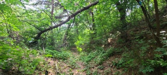 소백산 자락길 11,12코스(부석사 뒤~콩박물관~양지마을~단산지~자작재... (강,산,도,시) 소백산 자락길 11,12코스(부석사 뒤~콩박물관~양지마을... 