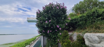 낙동강 둑길 하구둑~물금역 구간(낙동강문화관~삼락공원~화명공원~황산공원~물금역) - 아름다운 둘레길 - 강과 산과 길과 시(강,산,도,시) 낙동강... 