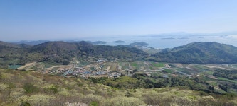 진도 첨찰산 산행과 운림산방(운림산방주차장~학정봉~덕신봉~첨찰산~쌍계사) - 전남의 산 - 강과 산과 길과 시(강,산,도,시) 진도 첨찰산 산행과... 