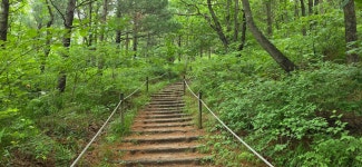 평창 선자령 산행(등산로 입구~선자령~양떼목장~등산로 입구)... 길과 시(강,산,도,시) 평창 선자령 산행(등산로 입구~선자령~양떼목장~등산로 입구)