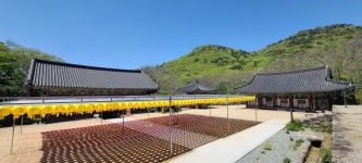 진도 첨찰산 산행과 운림산방(운림산방주차장~학정봉~덕신봉~첨찰산~쌍계사) - 전남의 산 - 강과 산과 길과 시(강,산,도,시) 진도 첨찰산 산행과... 