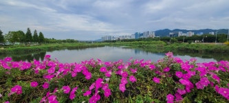 물금역 구간(낙동강문화관~삼락공원~화명공원~황산공원~물금역) - 아름다운 둘레길 - 강과 산과 길과 시(강,산,도,시) 낙동강 둑길 하구둑~물금역... 