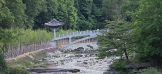 평창 오대산 산행(상원사주차장~중대사자암~비로봉~상왕봉~북대미륵암~상원사주차장) - 강원도의 산 - 강과 산과 길과 시(강,산,도,시) 평창 오대산... 
