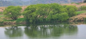 남강 둑길(의령구간 마지막회)(백곡교~마산마을~낙동강 호국의병숲) - 아름다운 둘레길 - 강과 산과 길과 시(강,산,도,시) 남강 둑길(의령구간... 