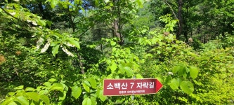 소백산 자락길 7코스(단양구간)(영춘면 사무소~동대리~베틀재~의풍1리... 소백산 자락길 7코스(단양구간)(영춘면 사무소~동대리~베틀재~의풍1리... 