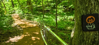 평창 오대산 산행(상원사주차장~중대사자암~비로봉~상왕봉~북대미륵암~상원사주차장) - 강원도의 산 - 강과 산과 길과 시(강,산,도,시) 평창 오대산... 
