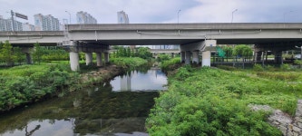 물금역 구간(낙동강문화관~삼락공원~화명공원~황산공원~물금역) - 아름다운 둘레길 - 강과 산과 길과 시(강,산,도,시) 낙동강 둑길 하구둑~물금역... 