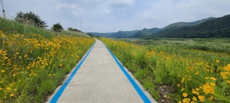 낙동강 둑길 안동구간(광덕교~부용대~단호교~낙암정~검암교) - 둘레길 - 산, 그리다(부산 두류산악회, 호산광인) 낙동강 둑길 안동구간(광덕교... 