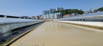 진주 남강둘레길과 금호지 - 둘레길 - 산, 그리다(부산 두류산악회, 호산광인) 진주 남강둘레길과 금호지