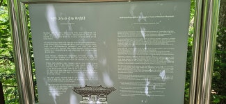 평창 오대산 산행(상원사주차장~중대사자암~비로봉~상왕봉~북대미륵암~상원사주차장) - 강원도의 산 - 강과 산과 길과 시(강,산,도,시) 평창 오대산... 