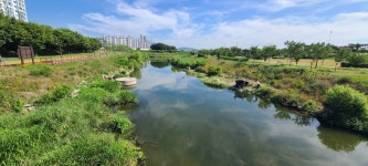 대구 금호강 둑길(4)(하양교~영천교~영천조교 파크골프장) - 아름다운 둘레길 - 강과 산과 길과 시(강,산,도,시) 대구 금호강 둑길(4)(하양교~영천교... 