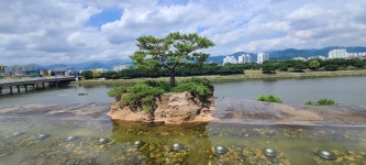 금호2교 하부 동네체육시설 | 대구 금호강 둑길(2)(노곡교~아영폭포~안심체육공원) - 아름다운 둘레길 - 강과 산과 길과 시(강,산,도,시) 대구 금호강 둑길(2)(노곡교~아영폭포...