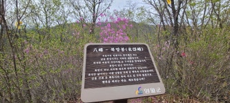 영월 구봉산(극락교~널목재~구봉산 정상~일주문~주차장) - 강원도의 산 - 강과 산과 길과 시(강,산,도,시) 영월 구봉산(극락교~널목재~구봉산 정상... 