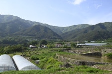 제68차 지리산 둘레길3코스, 뱀사골 와운마을, 노고단 - 한마음산악회... 협동조합 제68차 지리산 둘레길3코스, 뱀사골 와운마을, 노고단